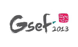 Organizing Committee of the 2013 GSEF